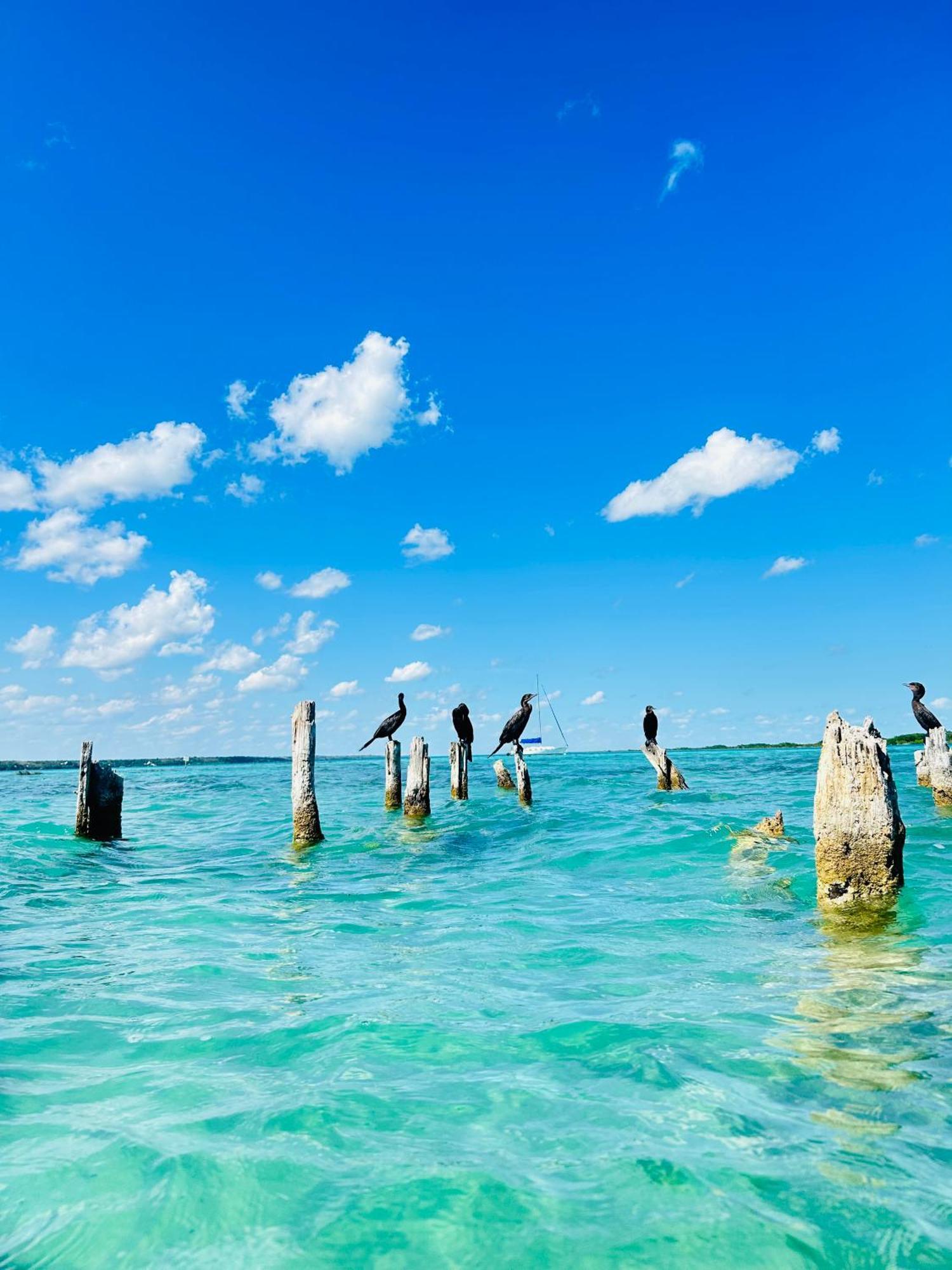 Apartmán Departamentos Blue Bacalar Exteriér fotografie